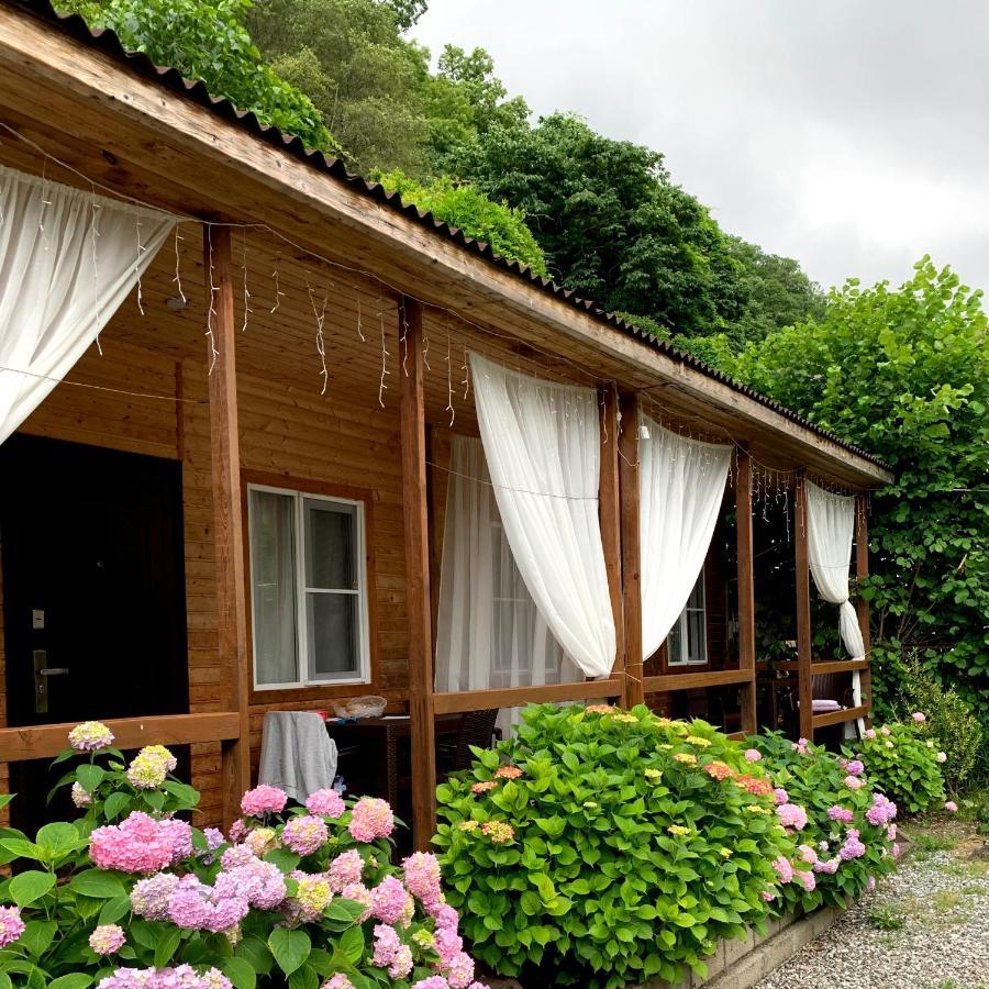 Guest House Ahan Gagra Kültér fotó