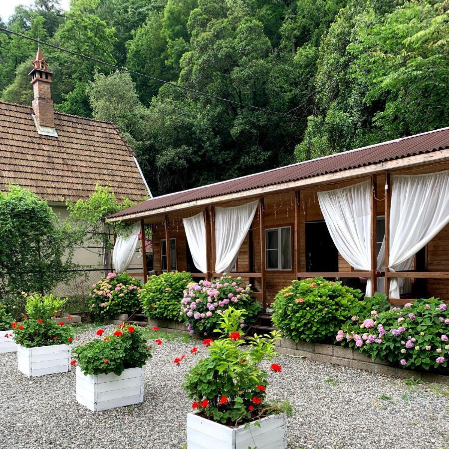 Guest House Ahan Gagra Kültér fotó